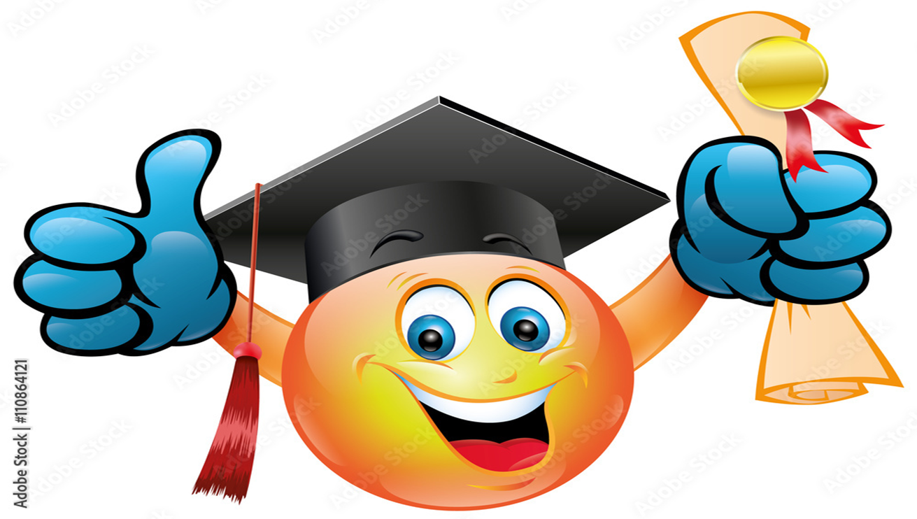 DIPLOME JUGE NIVEAU 2