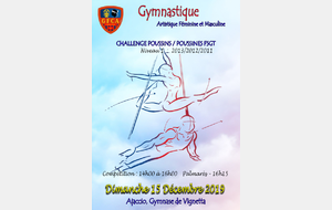 CHALLENGE POUSSINS / POUSSINES NIVEAU 1 FSGT