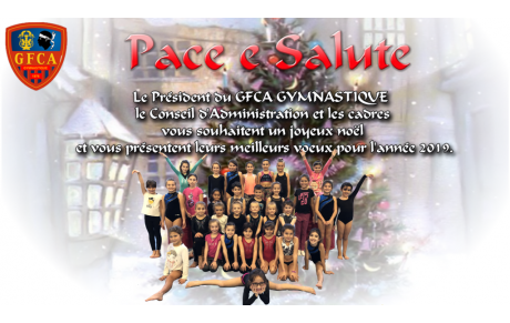 JOYEUX NOEL  BONNE ANNÉE 2019 