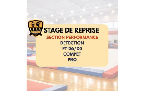 STAGE DE REPRISE SECTION PERFORMANCE