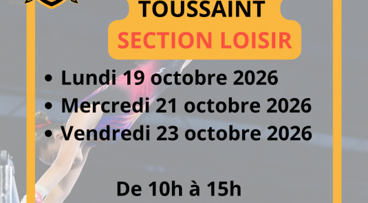 STAGE VACANCE TOUSSAINT SECTION LOISIR